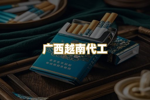 广西越南代工